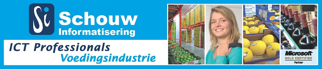 Schouw Informatisering